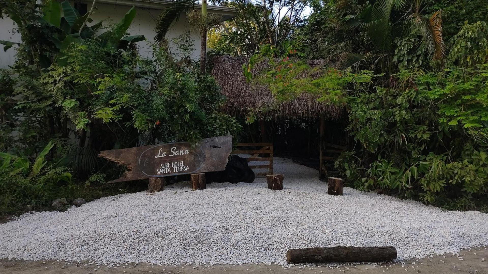 La Sana Surf Hotel, New Management, Few Mn Drive To The Beach Playa Santa Teresa  Exterior photo