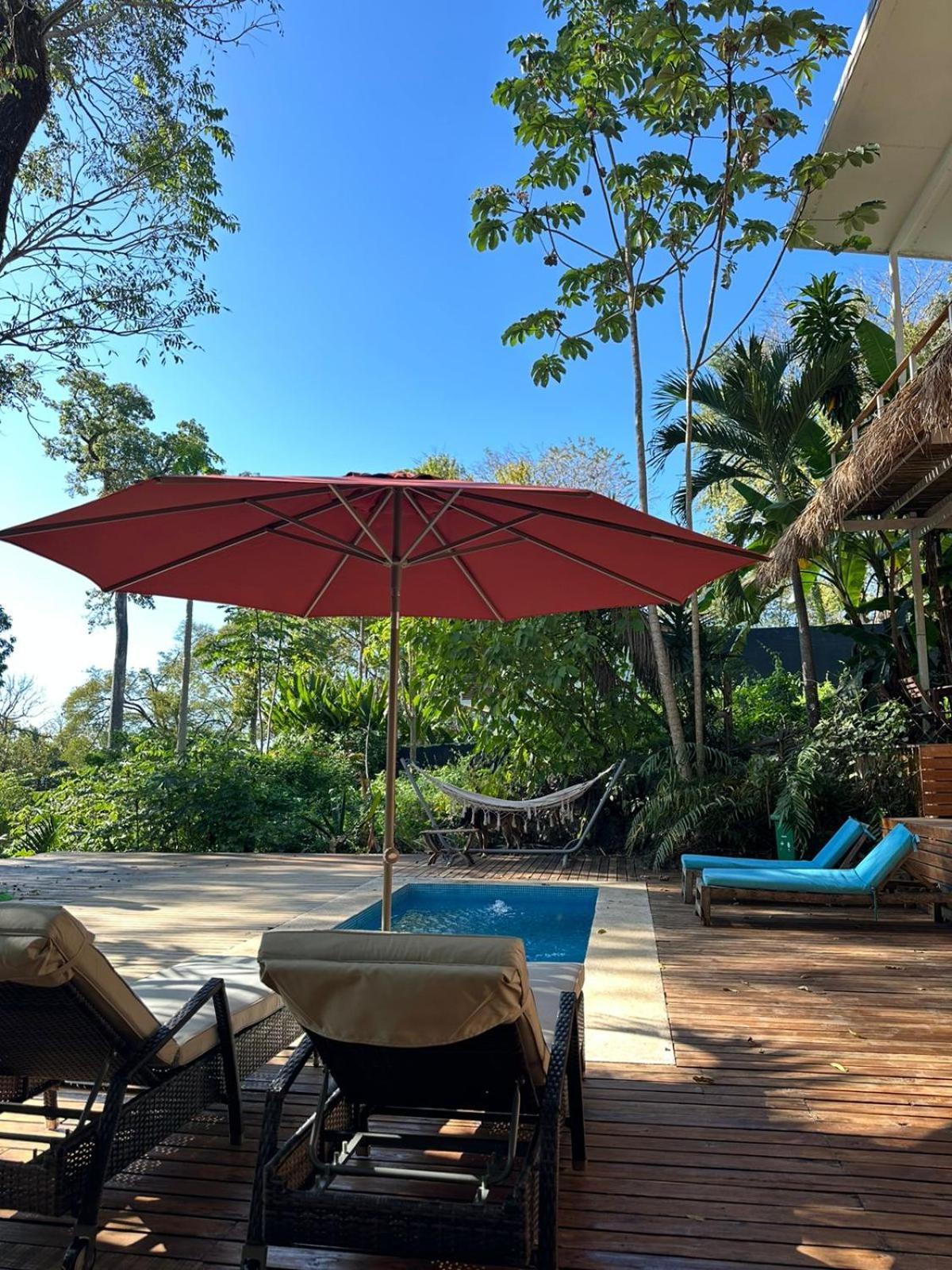 La Sana Surf Hotel, New Management, Few Mn Drive To The Beach Playa Santa Teresa  Exterior photo